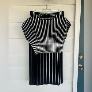 House of Harlow Black & White Vertical Stripe Knit Set